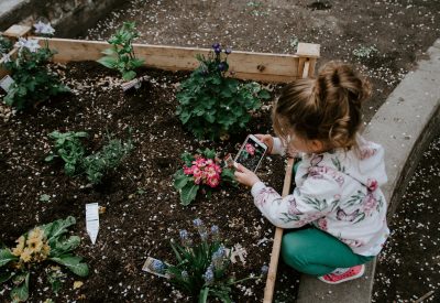 kelly-sikkema-iu3MkDoQXDM-unsplash kelly-sikkema-iu3MkDoQXDM-unsplash